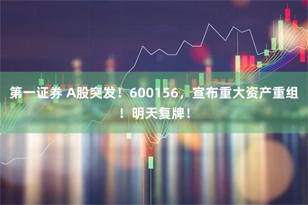 第一证券 A股突发！600156，宣布重大资产重组！明天复牌！