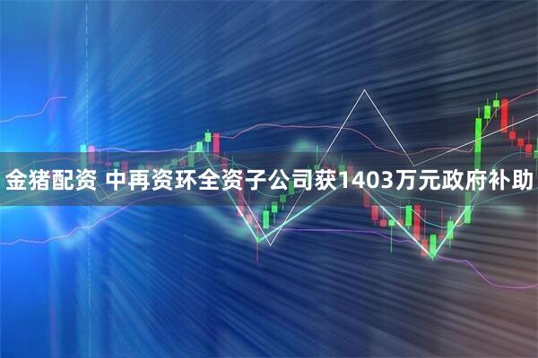 金猪配资 中再资环全资子公司获1403万元政府补助