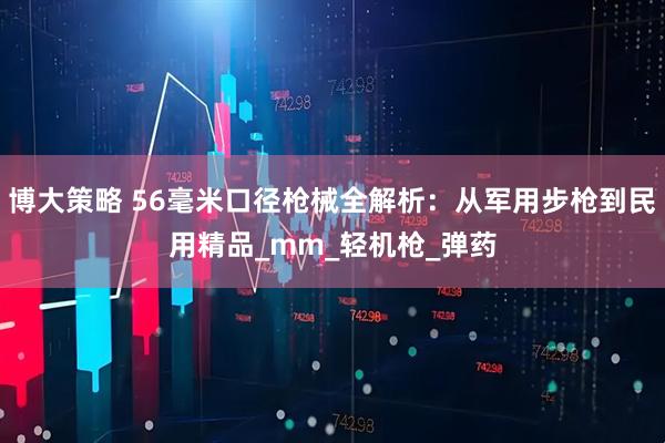 博大策略 56毫米口径枪械全解析：从军用步枪到民用精品_mm_轻机枪_弹药