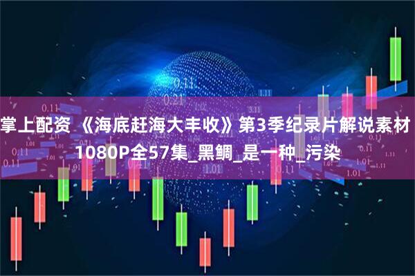 掌上配资 《海底赶海大丰收》第3季纪录片解说素材 1080P全57集_黑鲷_是一种_污染