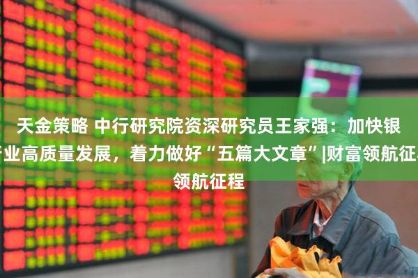 天金策略 中行研究院资深研究员王家强：加快银行业高质量发展，着力做好“五篇大文章”|财富领航征程