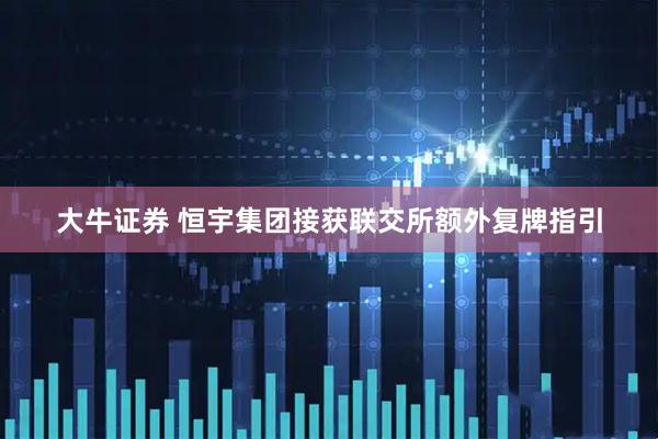 大牛证券 恒宇集团接获联交所额外复牌指引