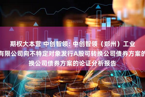 期权大本营 中创智领: 中创智领（郑州）工业技术集团股份有限公司向不特定对象发行A股可转换公司债券方案的论证分析报告